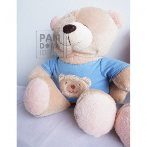 Mini Pink & Blue Bear 10"/ Boneka Beruang Mini Pink & Biru / Bday Gift