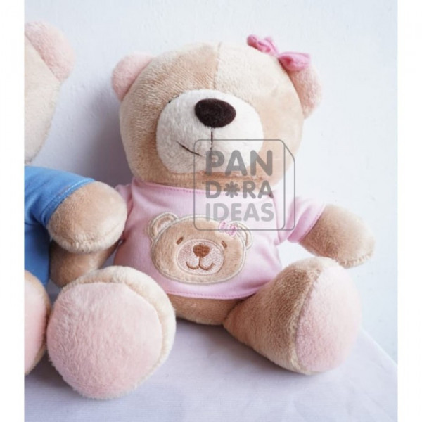 Mini Pink & Blue Bear 10"/ Boneka Beruang Mini Pink & Biru / Bday Gift