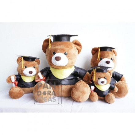 Boneka Wisuda 10" | Beruang Sarjana | Graduation Teddy Bear