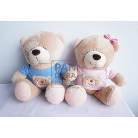 Mini Pink & Blue Bear 10"/ Boneka Beruang Mini Pink & Biru / Bday Gift